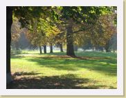 2005-10-28 13-51-08 DeYeuro 112,7mm 1_125_eme F4,9 * 2592 x 1944 * (3.6MB)